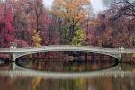 Competition entry: Bow Bridge Central Park NYC
